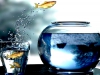 freaky_fish