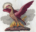 KlausW